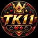 TK11 App