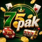 75PAK Game