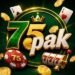 75PAK Game